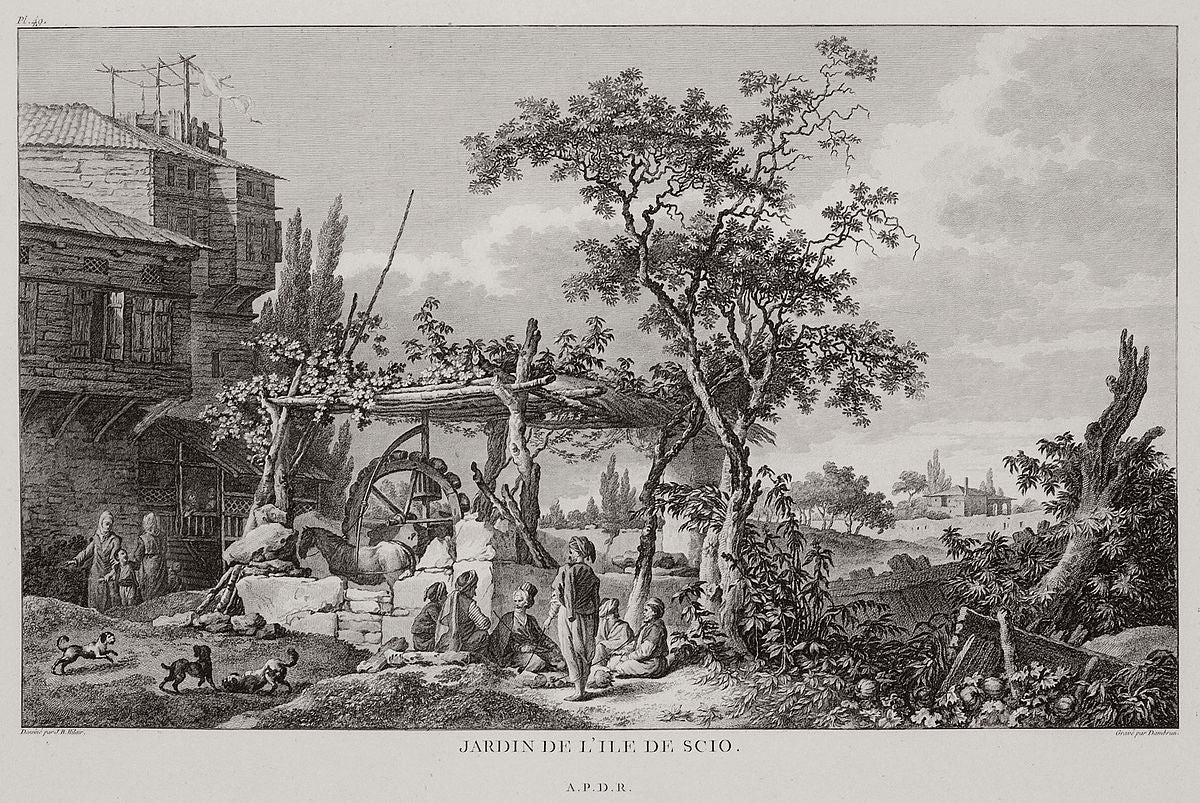 Antique 18th-Century Engraving – "Jardin de l’Île de Scio" (1782)